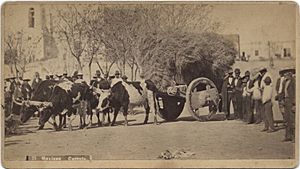 Archivo:Mexican Carreta, c. 1885