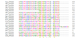Multiple Sequence Alignment of ZNF226 Protein Sequence Across 20 Species (1)