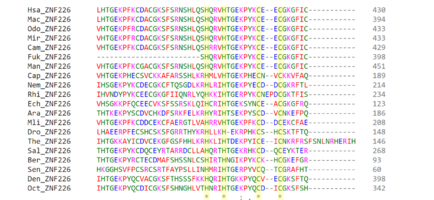 Archivo:Multiple Sequence Alignment of ZNF226 Protein Sequence Across 20 Species (1)