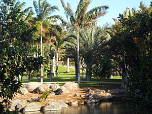 Archivo:Palmetum Tenerife zona Madagascar.
