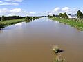 Piako River, from Bridge at Ngatea 2