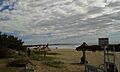 Playa Surf