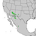 Quercus arizonica range map USGS