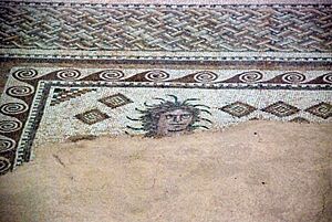 Archivo:Quintanilla de la Cueza Villa romana Tejada Habitación 22 Mosaico Neptuno 001