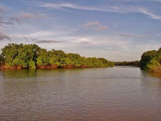 Río Capanaparo.jpg
