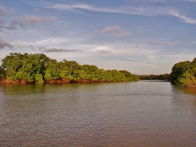 Río Capanaparo