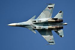 Archivo:Russian Navy, RF-34013, Sukhoi Su-30SM (49581739997)