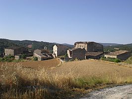 Sant Gallard (Conca de Barberà, Juliol 2010).JPG