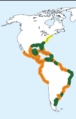 Thalasseus acuflavidus-map