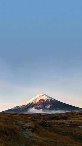 Vólcan Nevado Cotopaxi camilogaleano(com).jpg