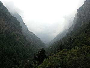 Archivo:View of Kadisha Valley in clouds, Lebanon
