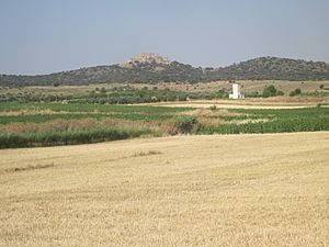 Archivo:Vista de La Pesquera, las olivas y el castillo