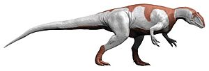 Archivo:Yangchuanosaurus NT (flipped)