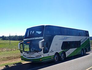 Archivo:Ómnibus Núñez en Uruguay