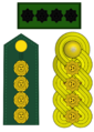 8) General en Jefe EJ
