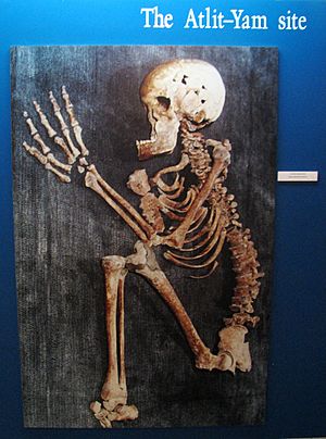 Archivo:Alit-Yam – Human skeleton