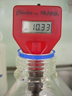 Archivo:Alkaline pH