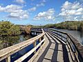 Anhinga Trail boardwalk
