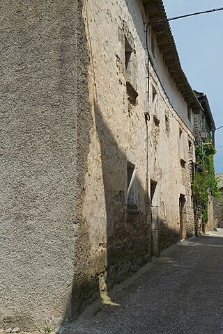 Banaguás 5289.JPG