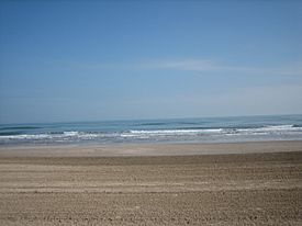 Beach at South Padre Island Picture 1114.jpg