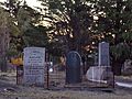 Capel Moriah, Trelew 13