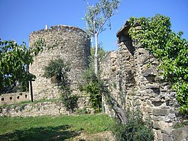Castell de Montagut 01.jpg