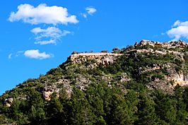 Castell de Penya-roja.JPG