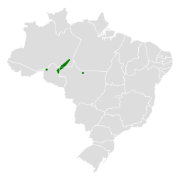 Distribución geográfica del batará de Rondonia.