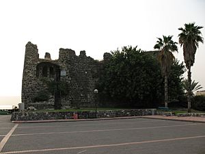 Archivo:Crusader Citadel, Tiberias 1203 (511276825)