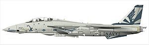 Archivo:F14 2 Wiki