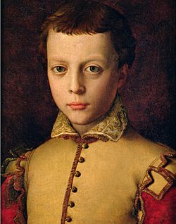Archivo:Ferdinando I de' medici as a child, Agnolo Bronzino