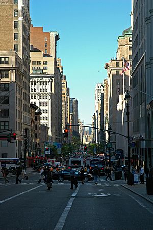 Archivo:Fifth Avenue NYC looking so