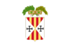 Flag of the Province of Catanzaro.svg