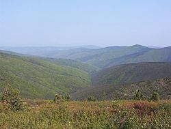 Hunker Creek Valley.JPG