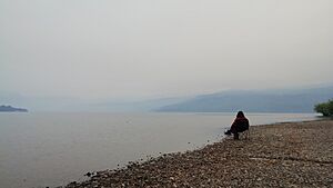 Archivo:Incendio en el Parque Nacional Los Alerces (Argentina), enero de 2024 07