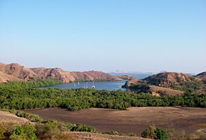 Archivo:Komodo Island 2009