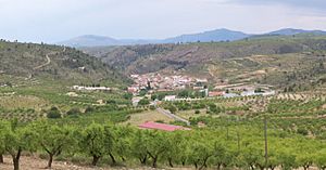 Archivo:Molinicos redeado de almendros
