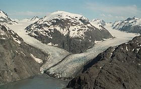 Morse Muir Glaciers 1994.jpg