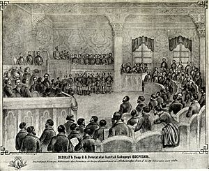 Archivo:Opening of the Parliament, Cuza, 29 February 1860