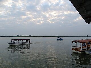 Papaloapan River Scene - Tlacotalpan - Veracruz - Mexico (16041772196).jpg