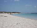 Platja de s'Alga