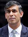 Prime Minister Rishi Sunak leaves 10 Downing Street (cropped)