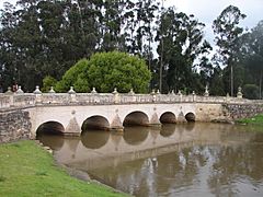 Puente del común, 2006