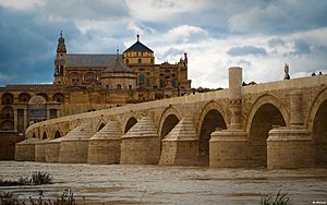 Archivo:Puente romano y mezquita