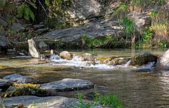 Río Lanjarón river (DSCF5984).jpg