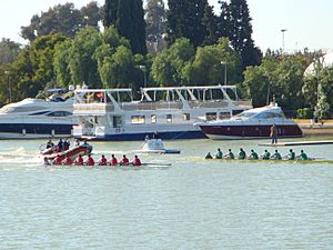 Archivo:Regatsasevillabetis2009