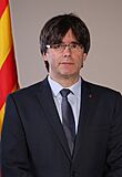 Retrat oficial del President Carles Puigdemont cropped