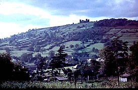 Riber Castle, Matlock - geograph.org.uk - 131578