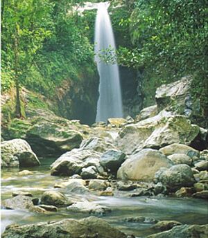 Archivo:Rio Aguan