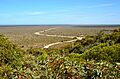 Roe Plains, Eucla, 2017 (03)